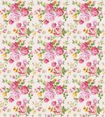 Spring Wild Roses Blooming