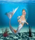 Fairytale Tropic Ocean