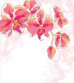 Contour Drawing Orchids
