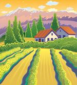 Vineyard Farm House