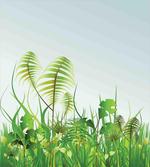Plant Summer Garden