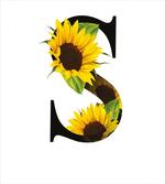 Sunflower Art Design