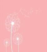 Sketch Style Flowers