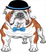 Hipster Dog