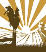 Rooster Retro Country Sunrise
