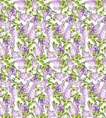Botanic Spring Plants