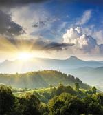 Sunrise Woodland