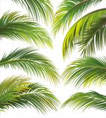 Summer Botany Lush