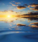 Tropical Vivid Scenery
