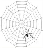Toxic Poisonous Bug