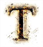 Schorching Hot Sign T