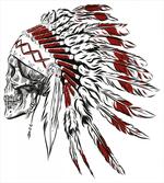 Feather Headdress