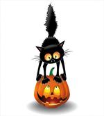 Cartoon Animal on Pumpkin