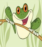 Happy Amphibian in Jungle