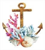Watercolor Starfish