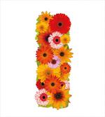 Vibrant Floral Effect