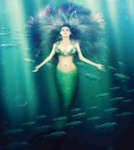 Underwater Life
