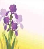 Iris Flowers Leaves