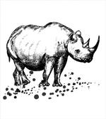 Animal with Paint Splashes