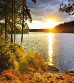 Sunset Forest Canada