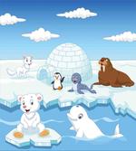Polar Bears Seal Penguins