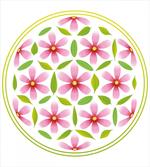 Circle Cosmos Beauty