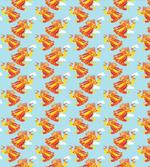Fire Bird Feathers