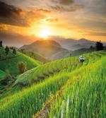 Green Farm Landscape artwork