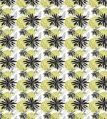 Vibrant Petals Stalks
