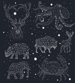 Constellation Signs