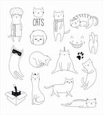 Pattern Cat Fiddles Kitten