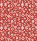 Various Snowflakes Winter