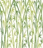 Cartoon Style Bamboo