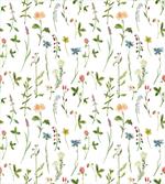 Herb Flowers Watercolors