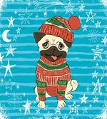 Happy Dog in Winter Clothes