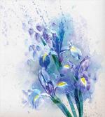 Iris Fresh Colors