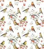 Colorful Forest Birds
