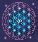 Ombre Flower of Life