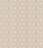 Classical Neutral Motif