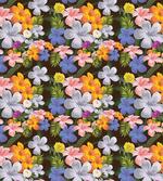 Colorful Various Flowers
