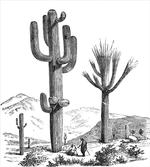 Sketchy Mexican View artwork