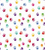 Animal Footprints