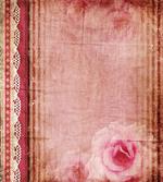 Vintage Frame Roses