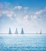 Sail Boats Regatta Race