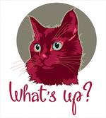 Love Words Cat Kitten