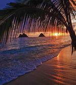 Pacific Sunrise Lanikai artwork