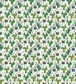 Exotic Succulent Plants