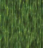 Tropical Bamboo Stems