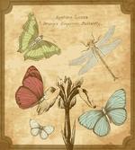 Retro Butterflies Art