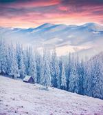 Calm Scenic Countryside